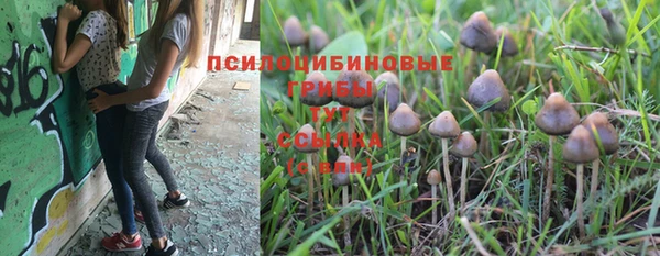 спиды Алексеевка